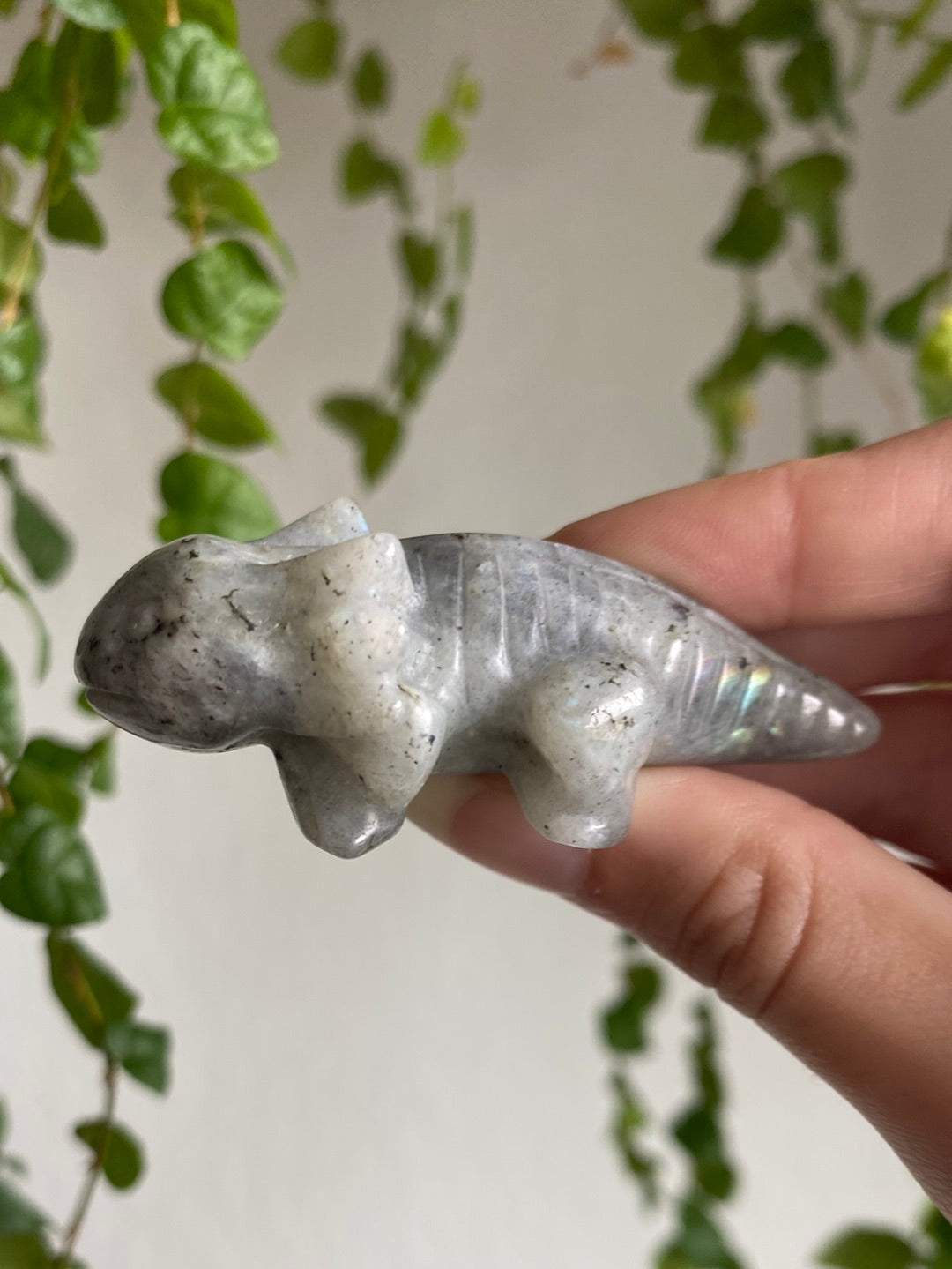 Labradorite Axolotl
