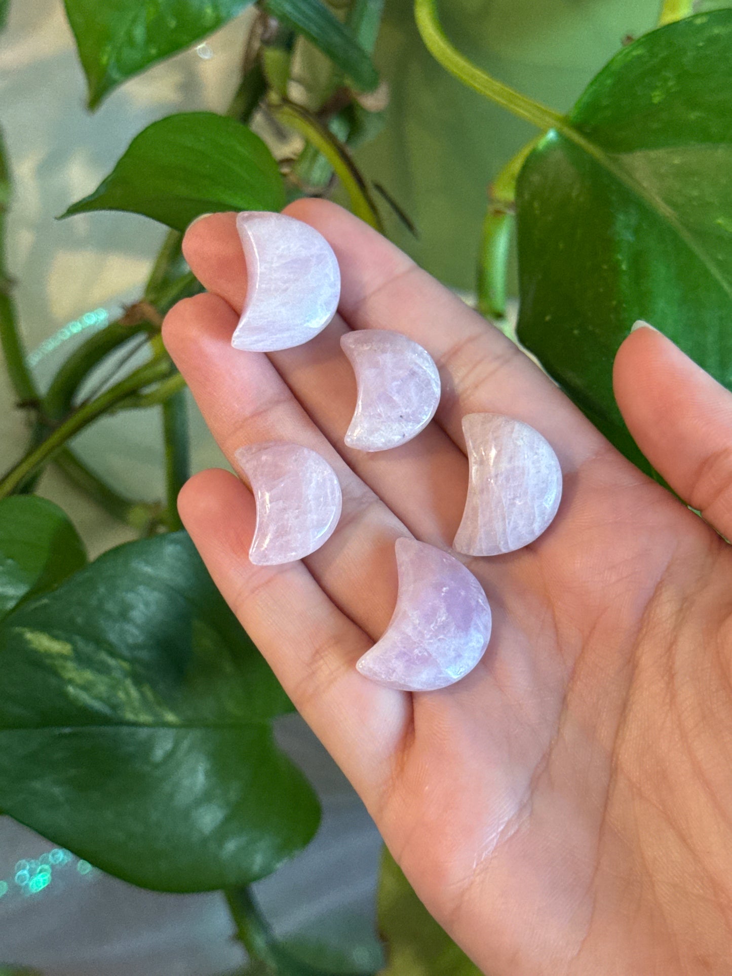 Kunzite Cats Eye Sheen Crescent Moon Mini Carving