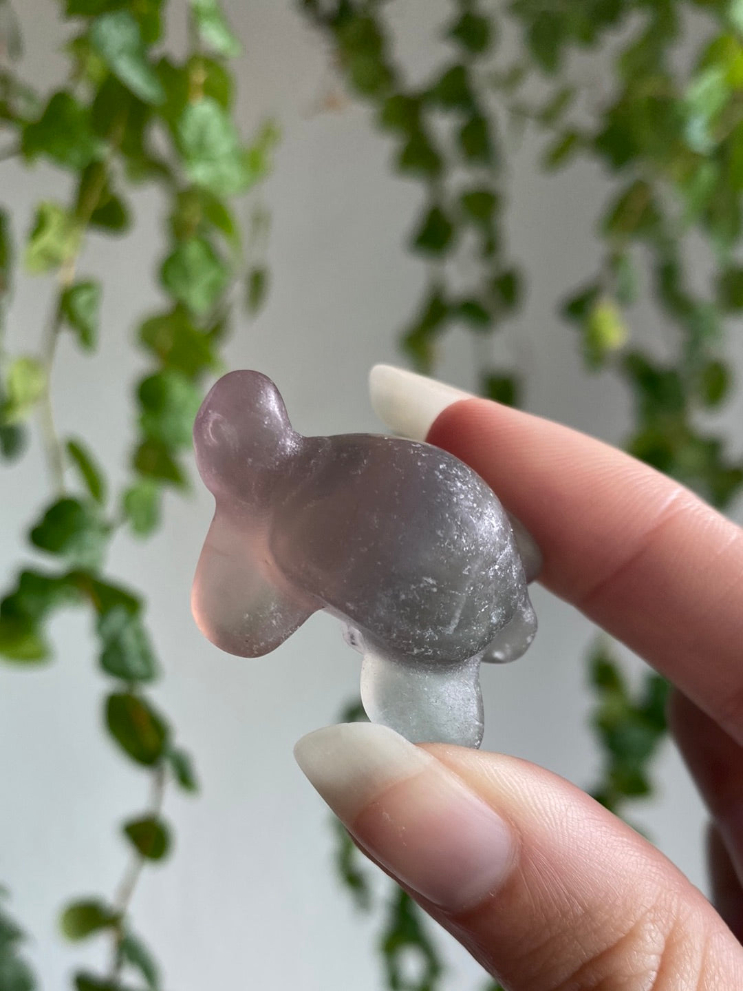 Turtle Carving | You Pick Material