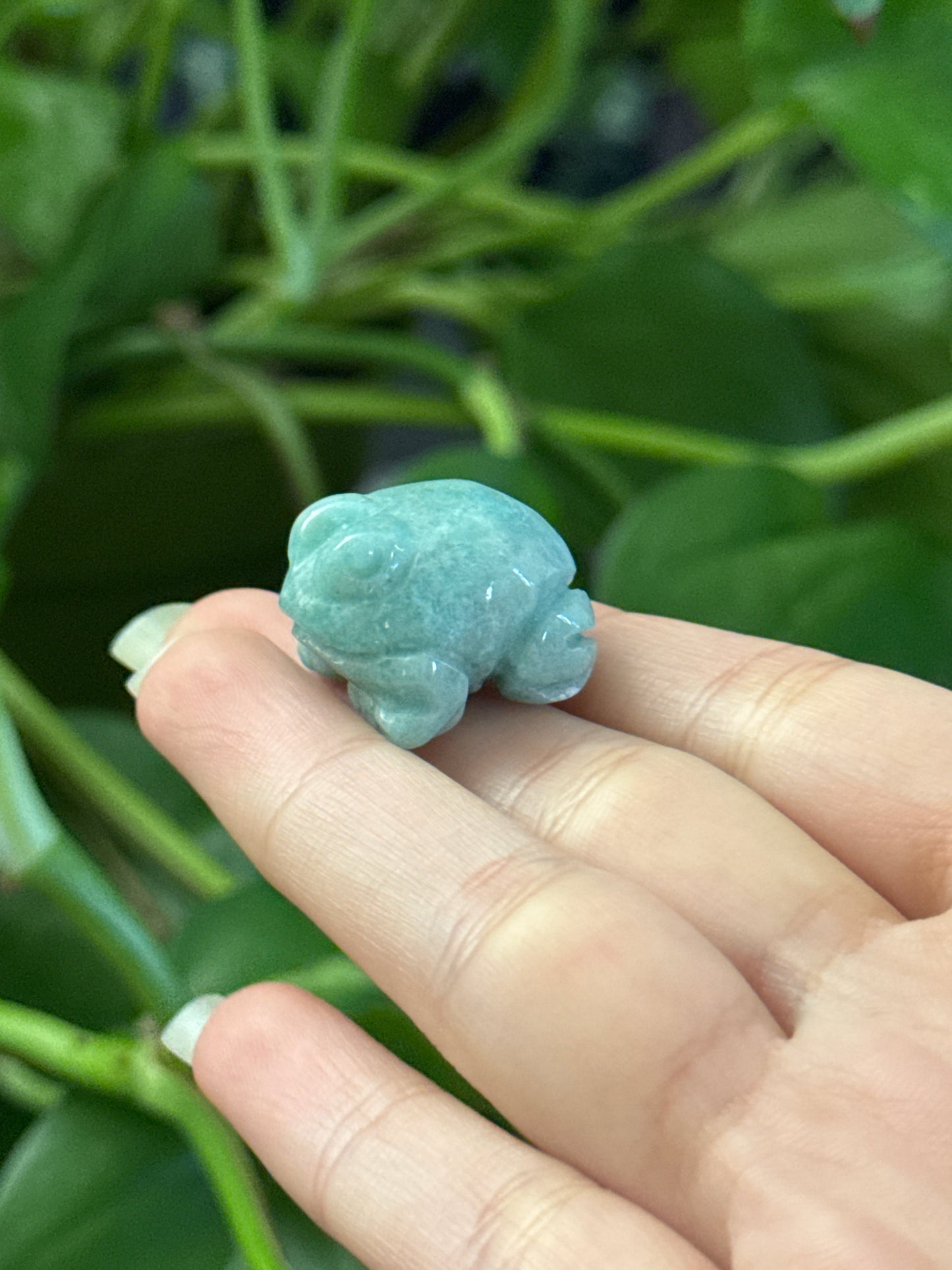 Green Amazonite Chubby Frog