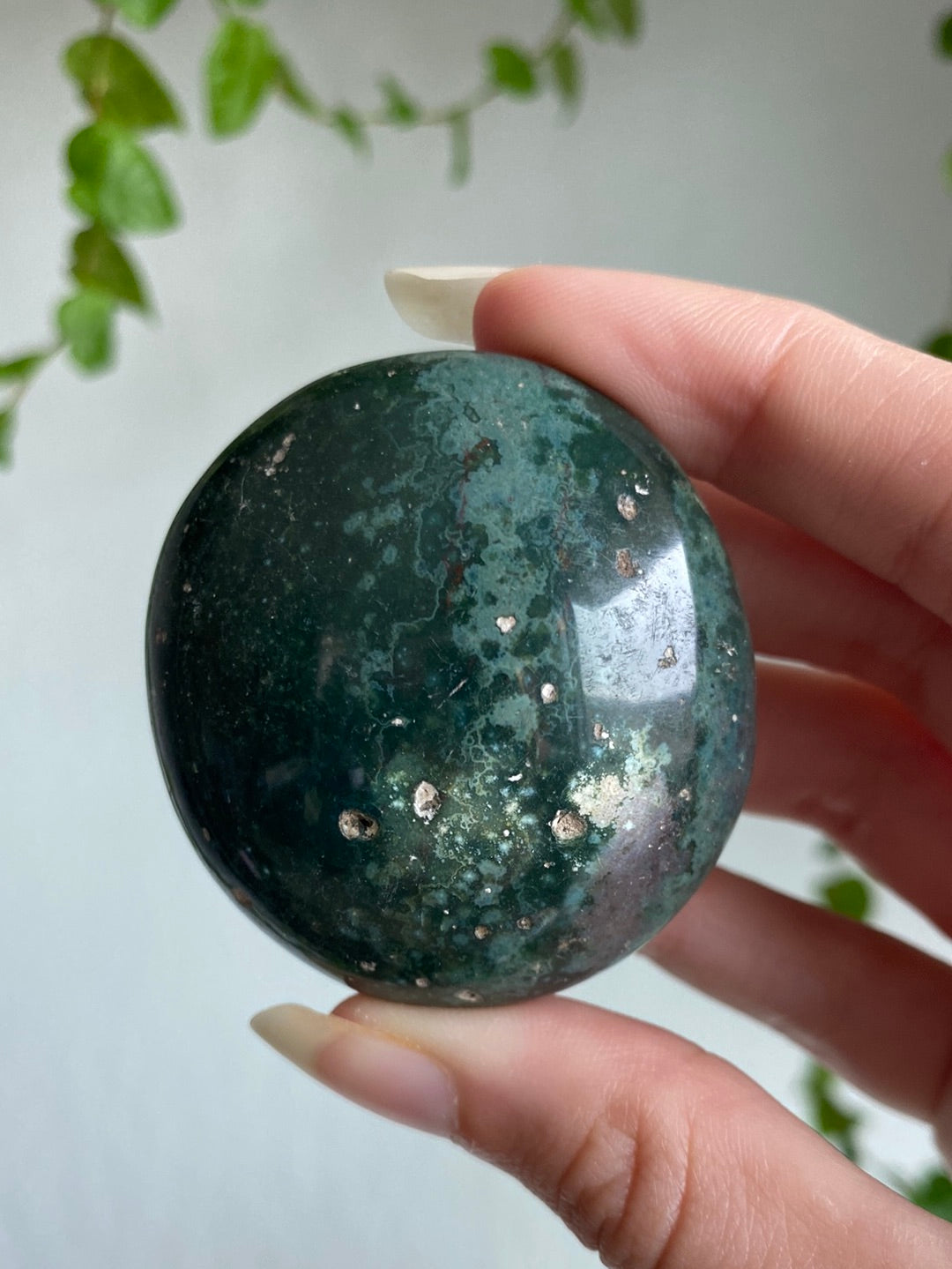 Ocean Jasper Palmstone
