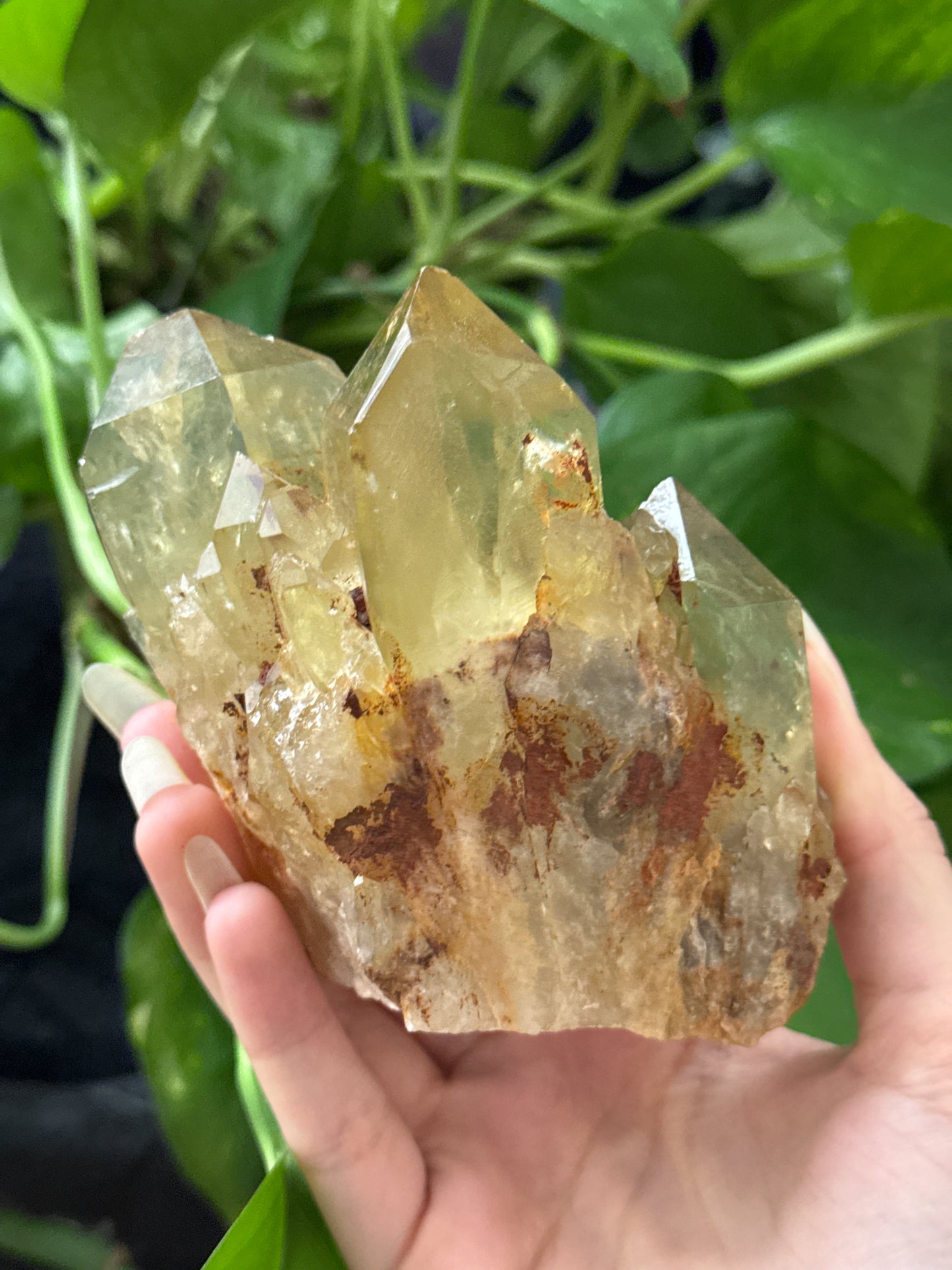 Natural Congo Citrine Specimen A