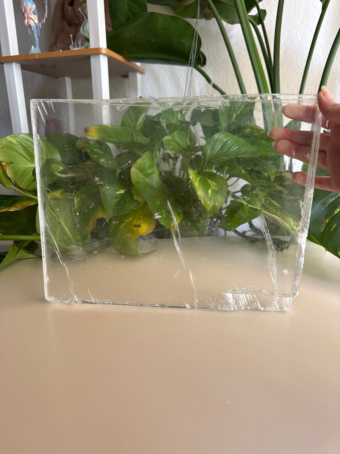 XL True Selenite Square