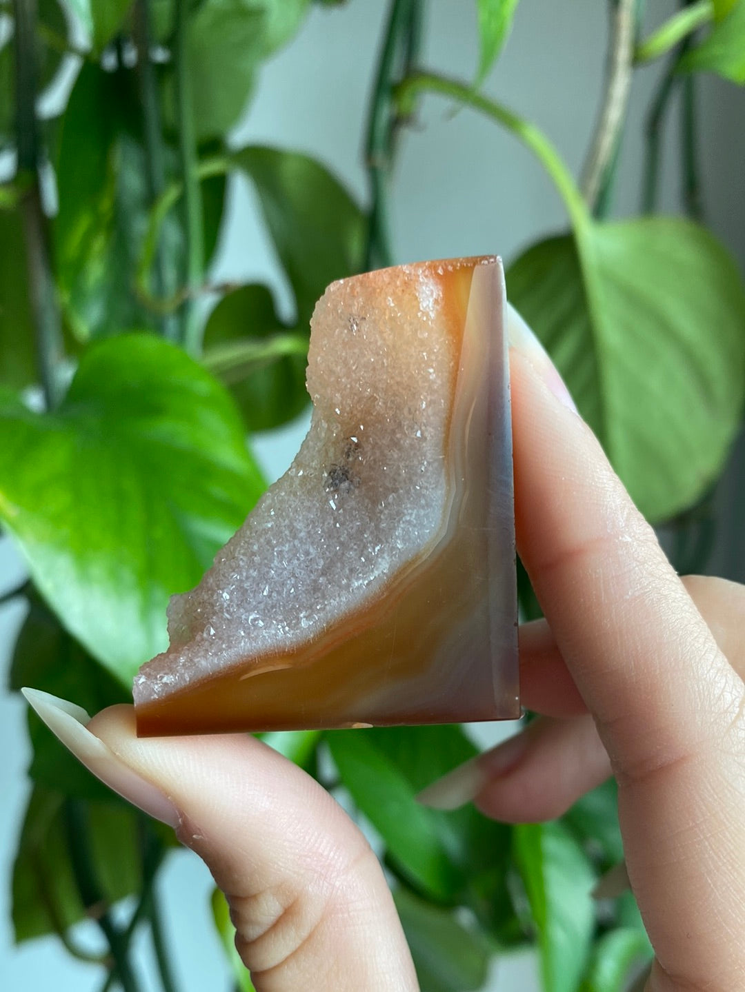 Druzy Carnelian Freeform