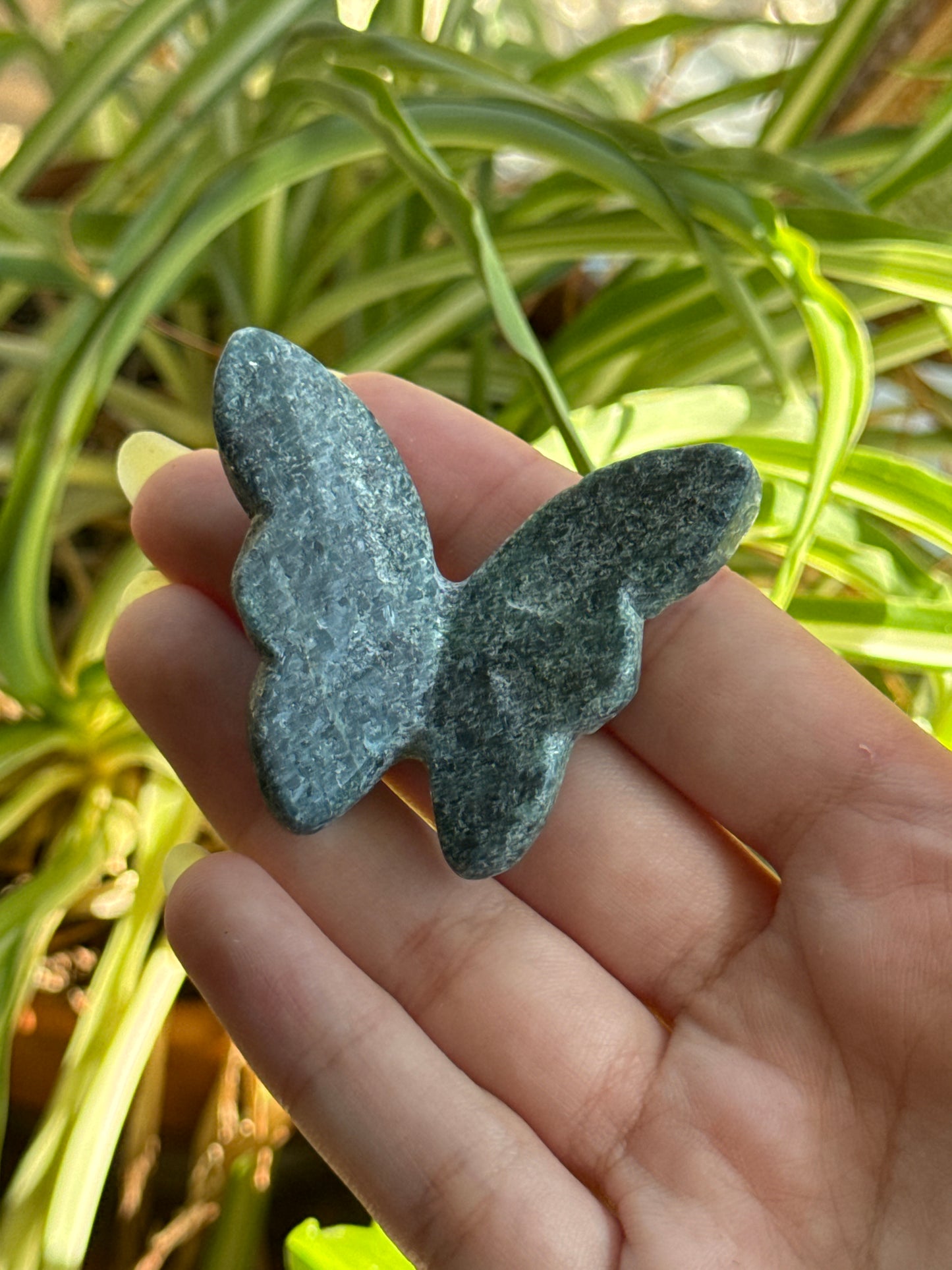 3D Butterfly | You Pick Material