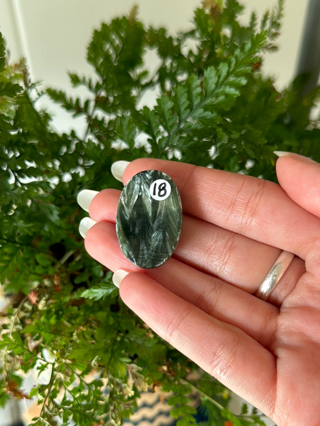 Serephenite With Chatoyancy