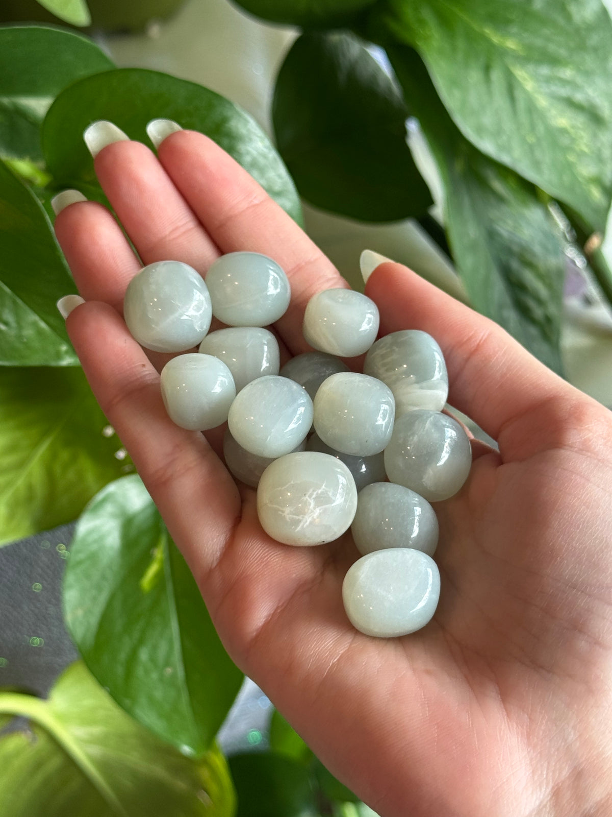 Small Sage Moonstone Tumble