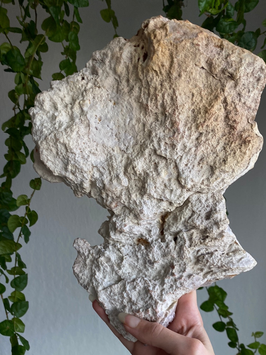 XXL Druzy Pink Amethyst Slab (11” & 3.1lbs)