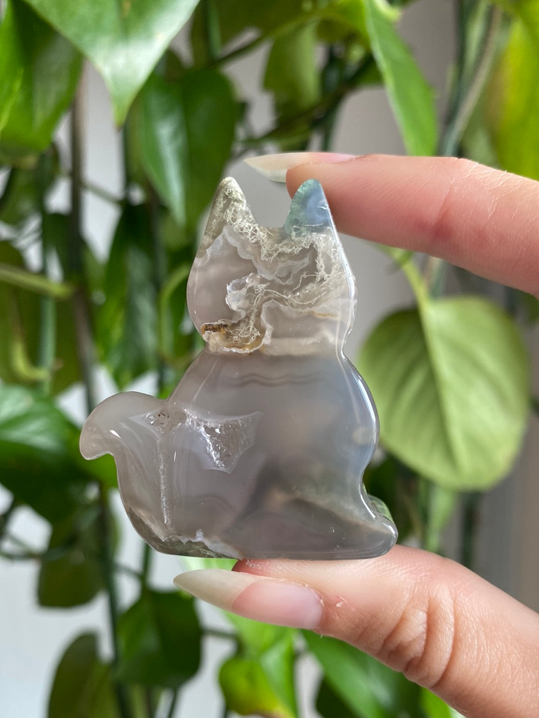 Moss Agate Kitty