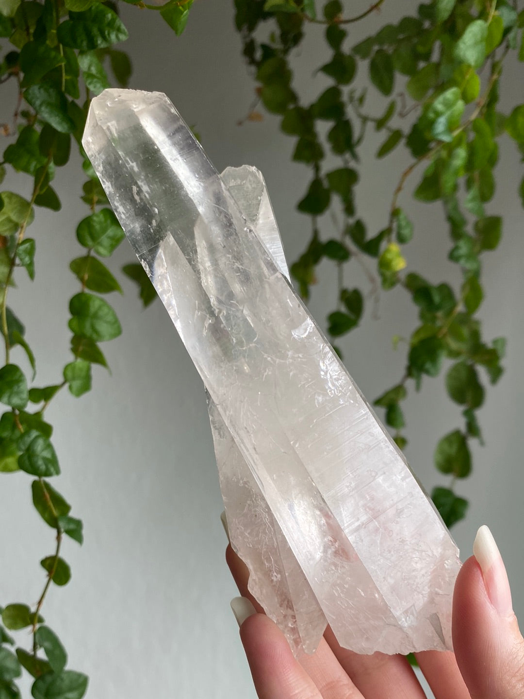 Raw Lemurian Points | You Pick