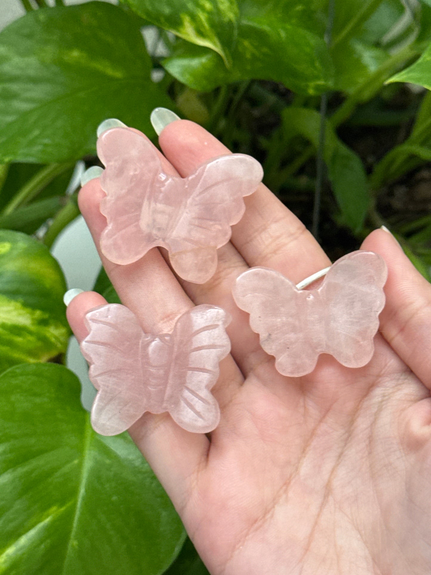 Rose Quartz Butterfly