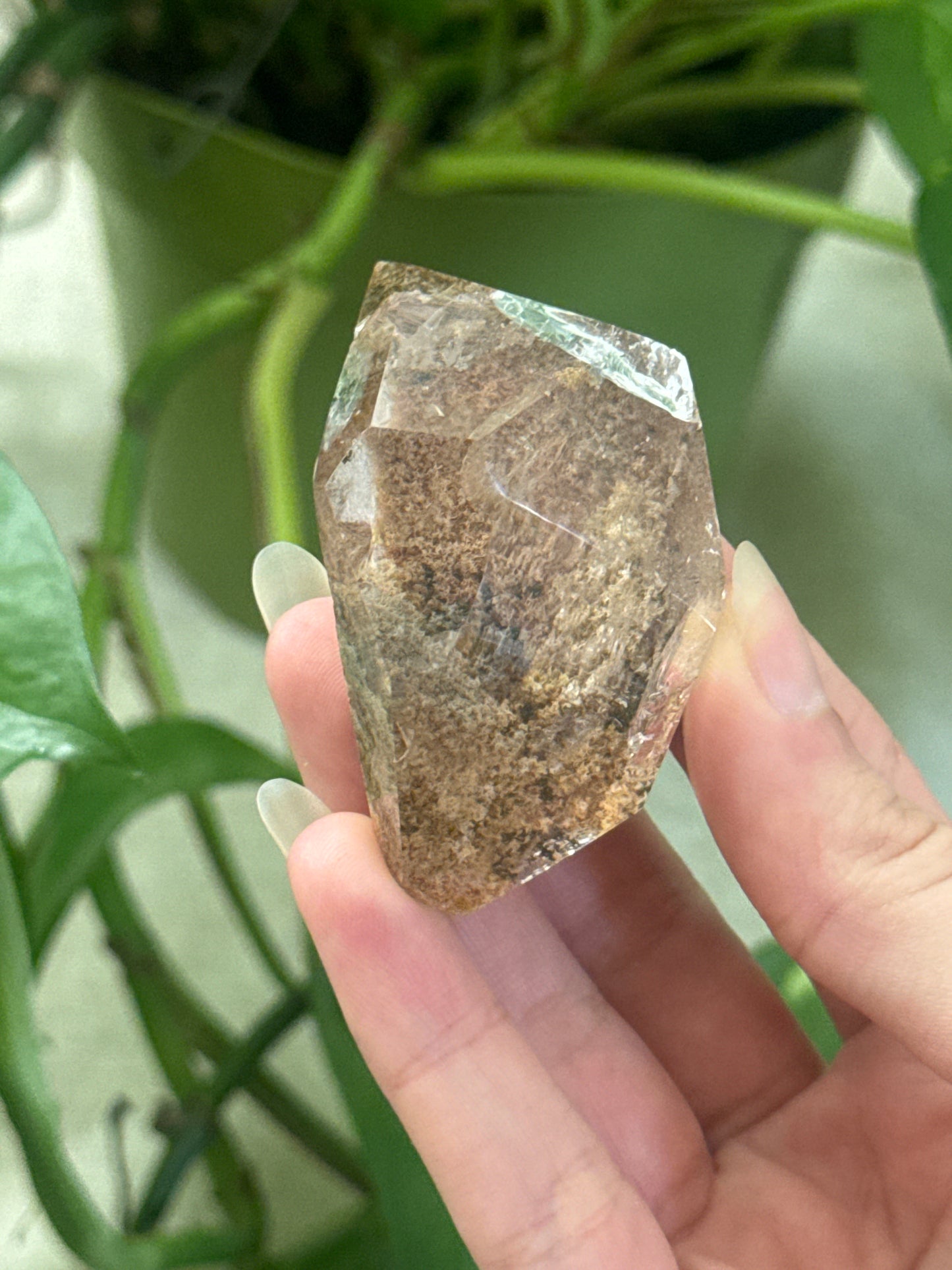 Garden Quartz Lens Style Freeform D