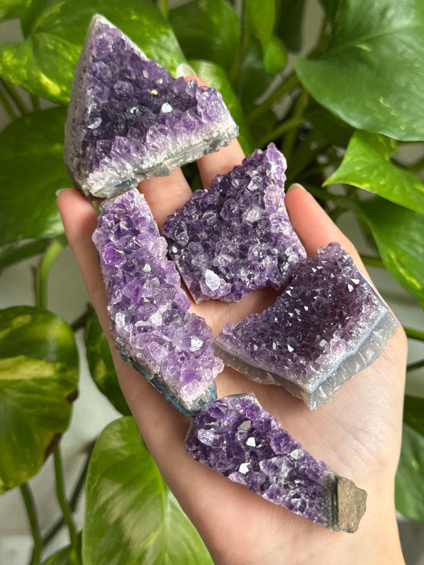 Amethyst Cluster | You Pick