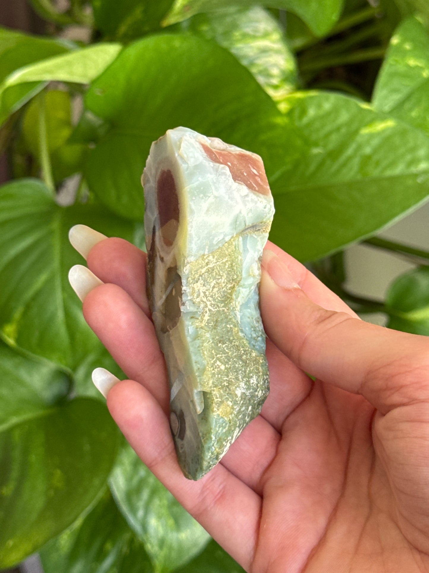 Green Flower Agate & Carnelian Slab