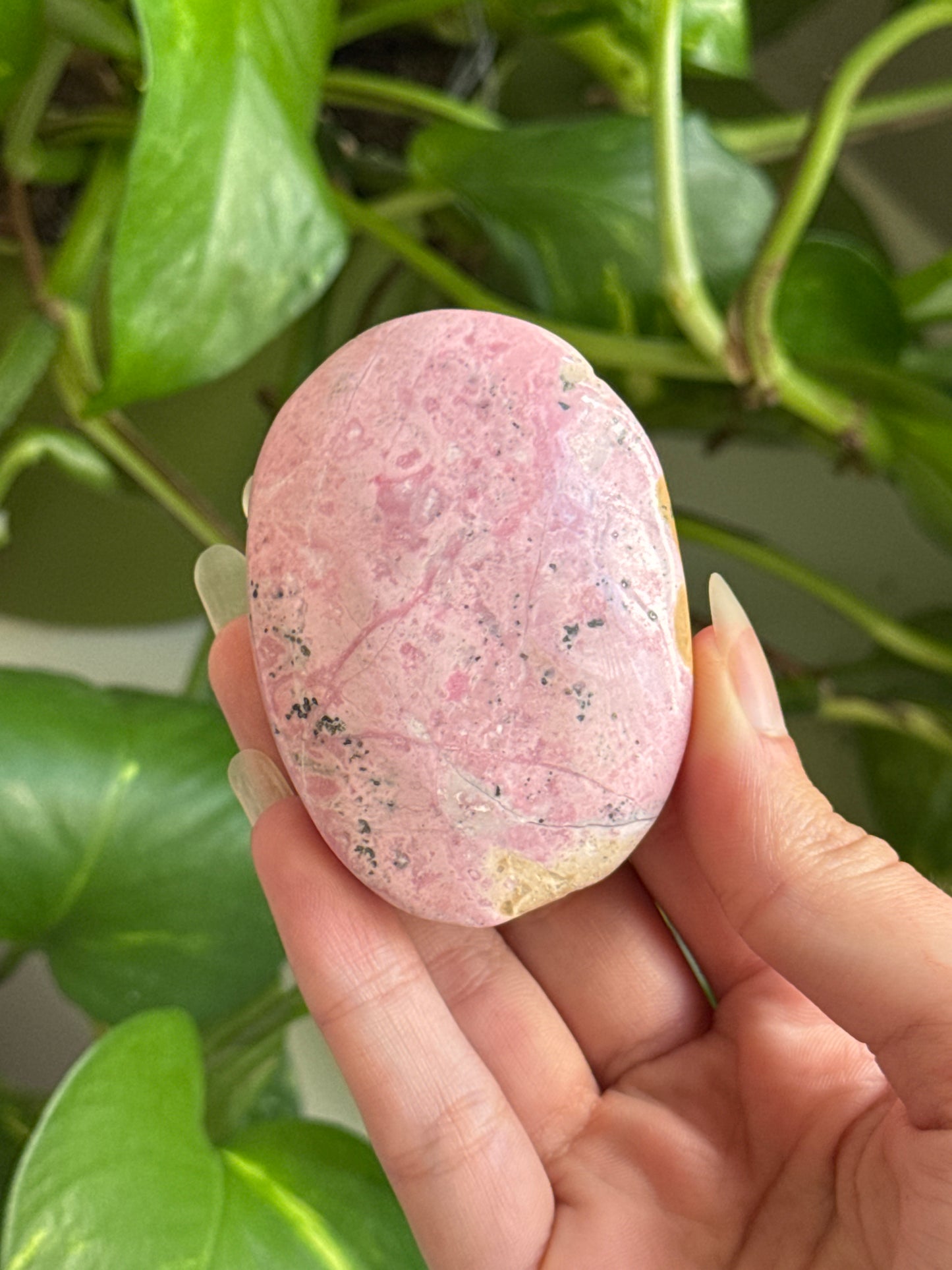 Bubblegum Rhodonite Palmstone | You Pick
