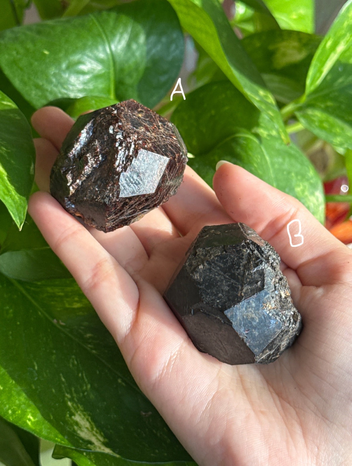 Raw Garnet Specimen | You Pick