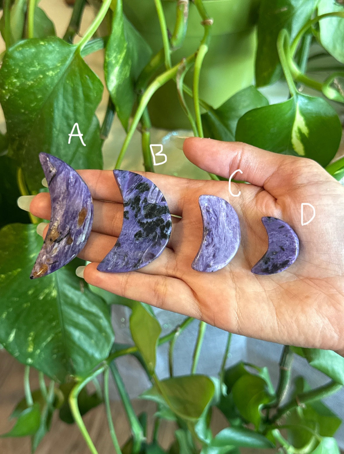 Charoite Moons | You Pick