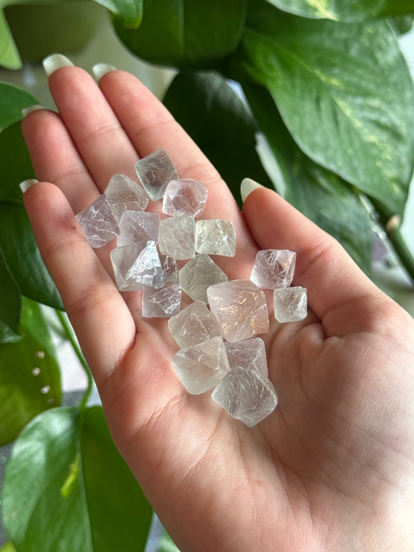Fluorite Diamonds Small