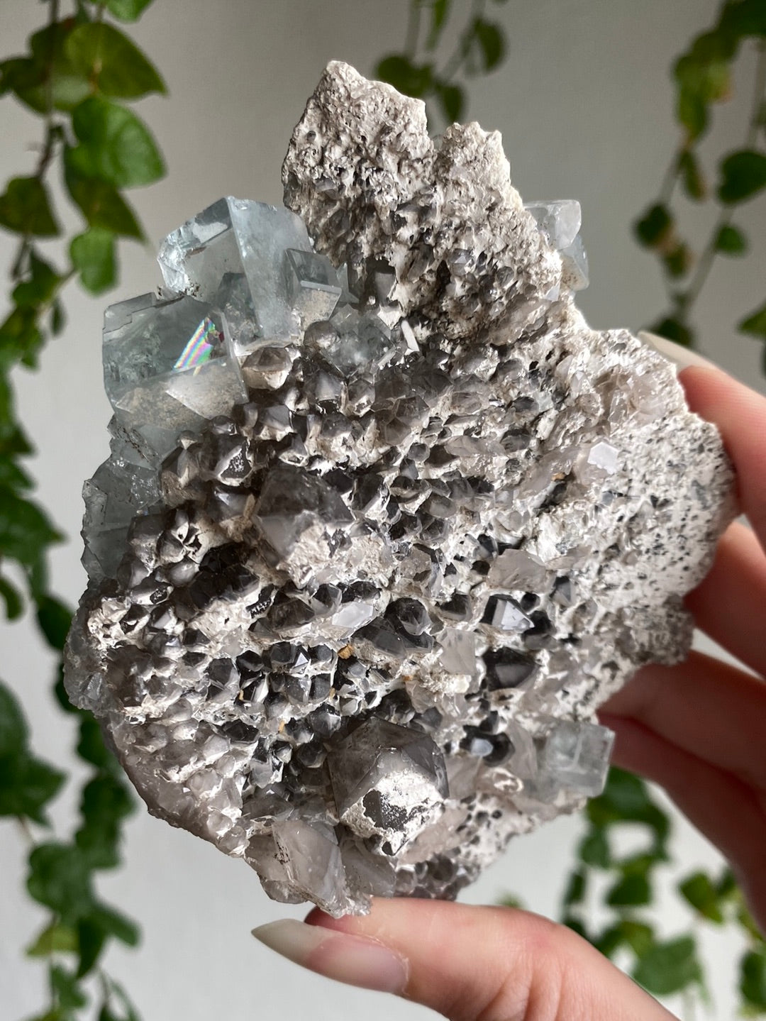 Statement Rare Grey Fluorite On Blue Cubic Fluorite Specimen