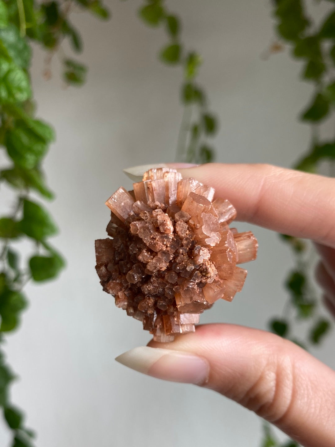 Aragonite Specimen