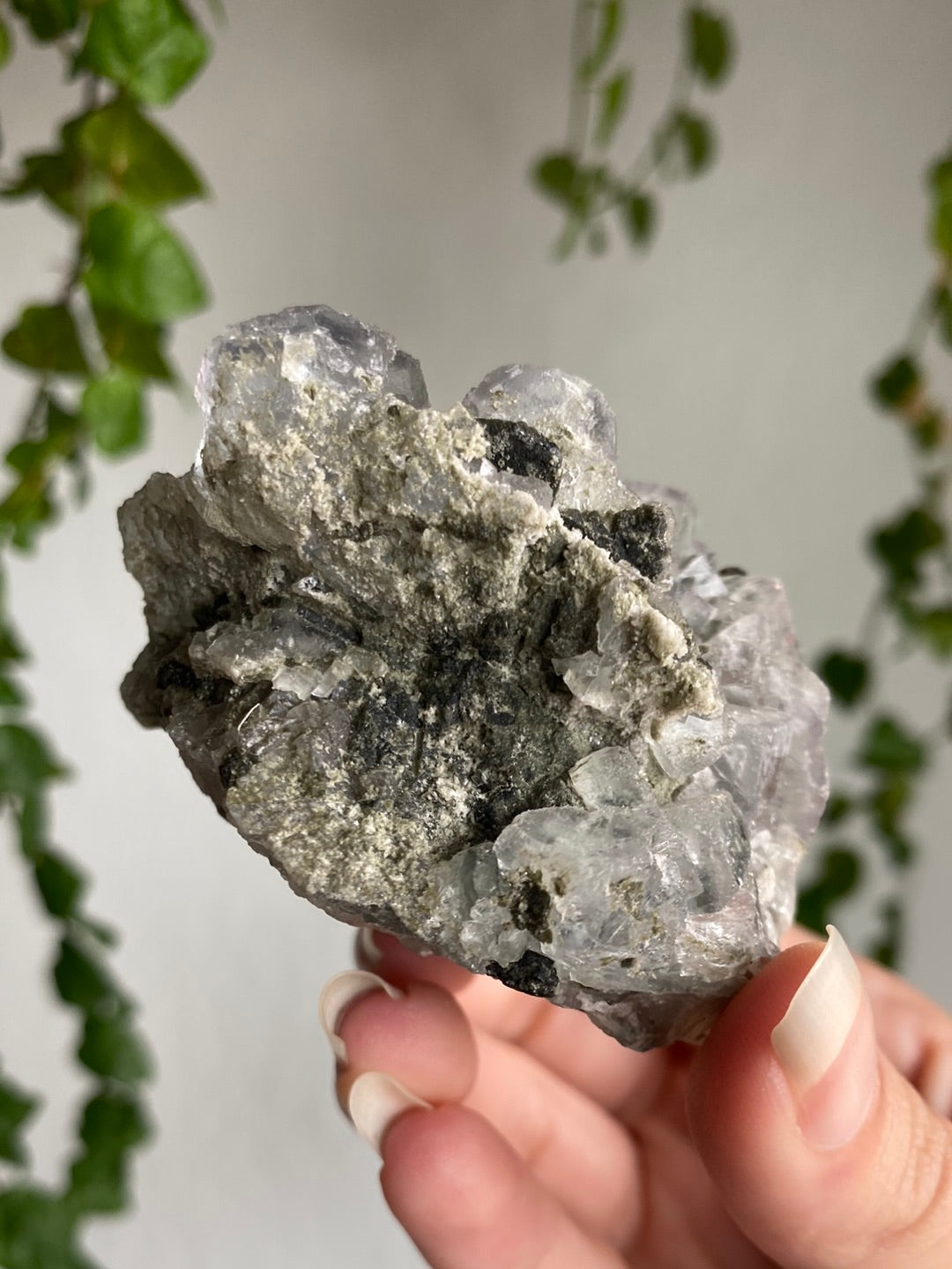 Green Tourmaline On Cubic Fluorite