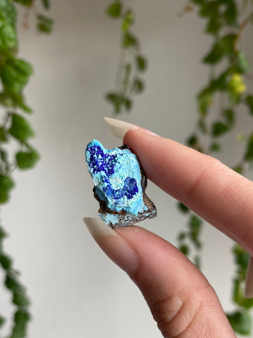 Azurite Specimen | You Pick