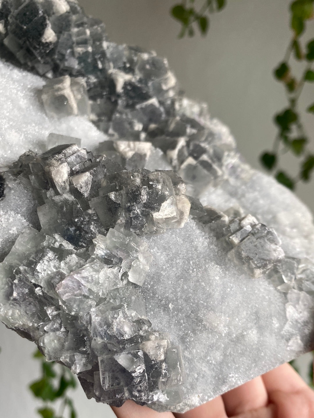 XL Statement Sugar Cubic Fluorite