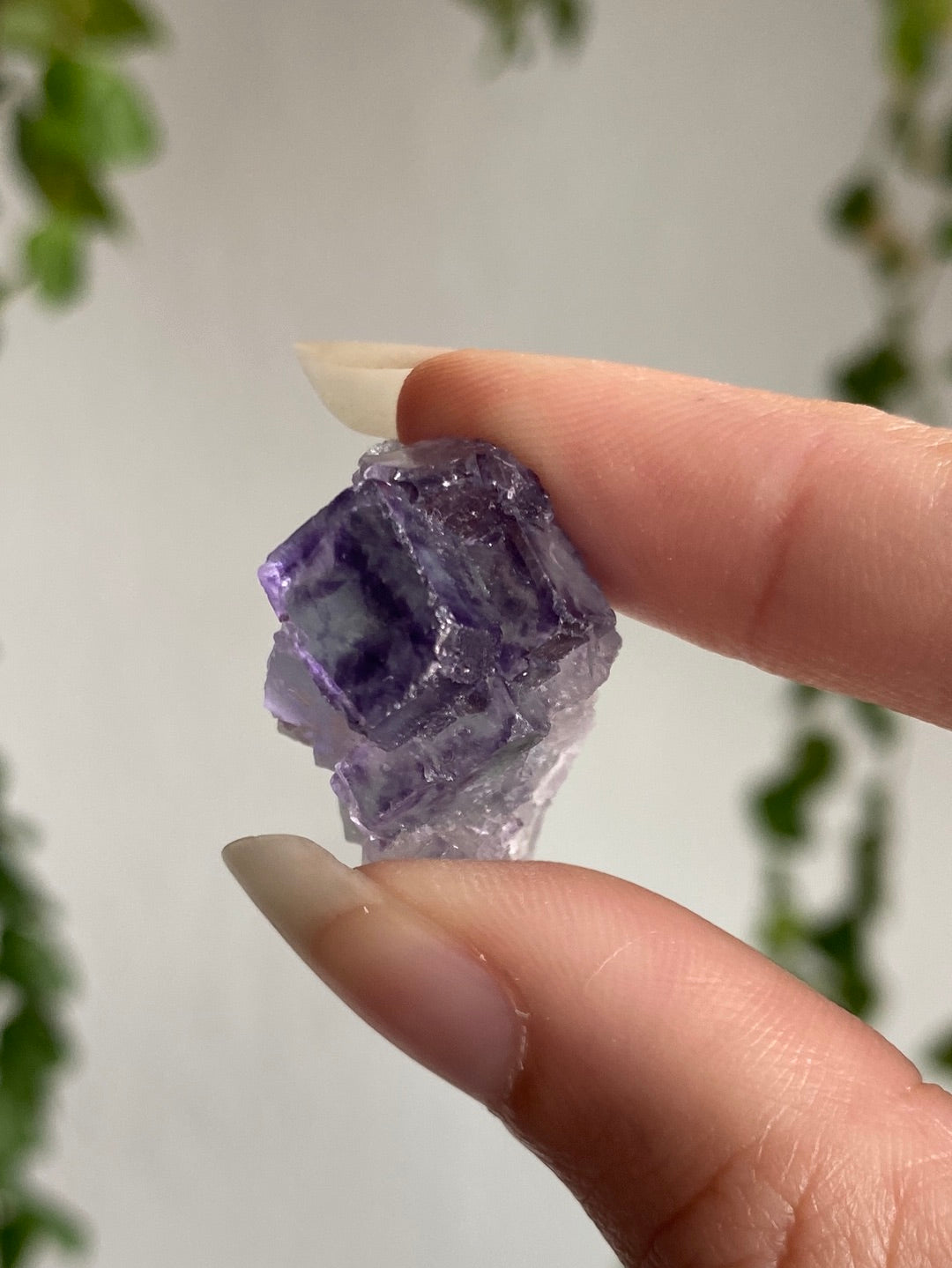 High Quality Fluorite Specimen G