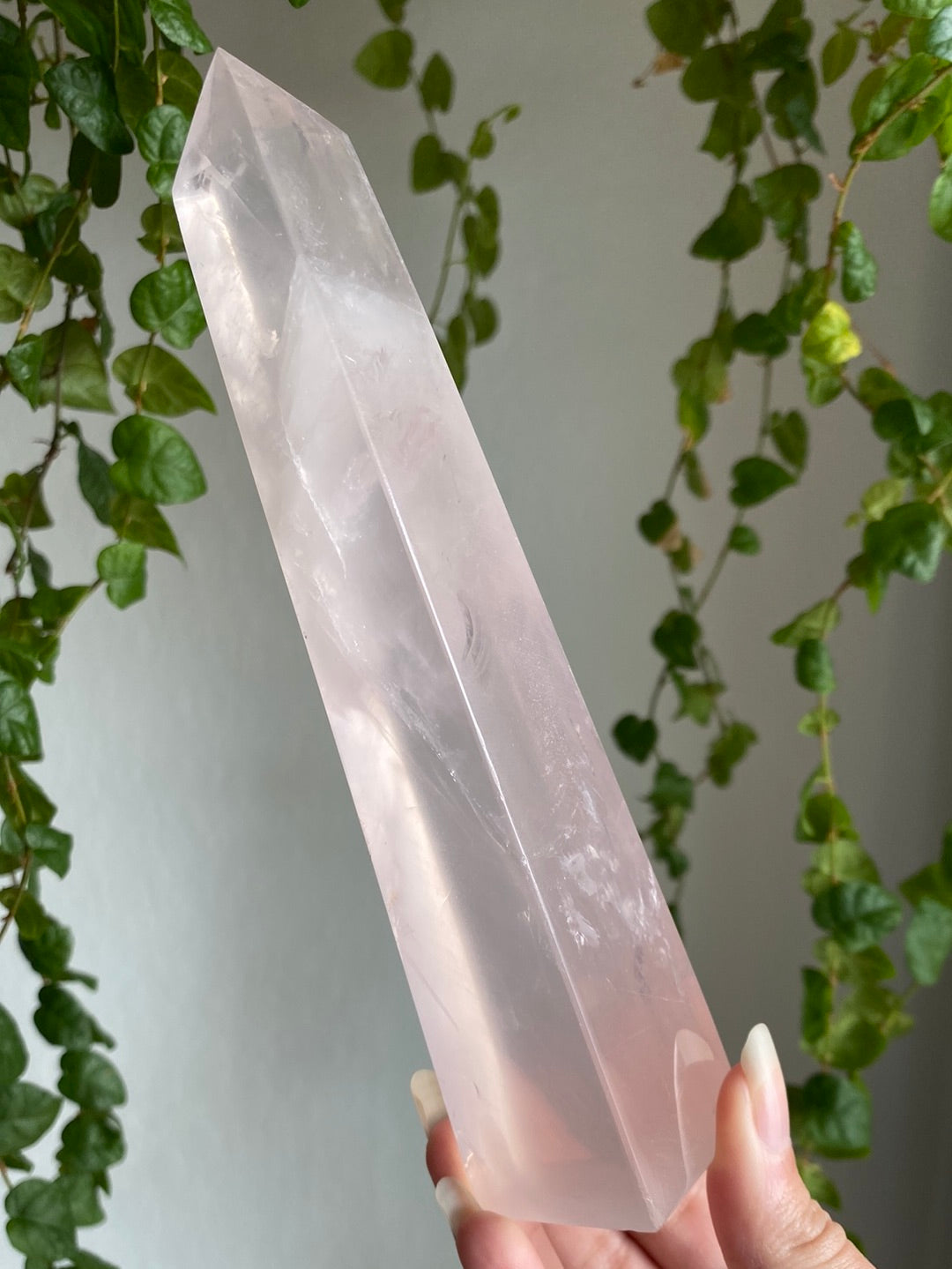 Tall Gemmy Girasol Rose Quartz Obelisk B