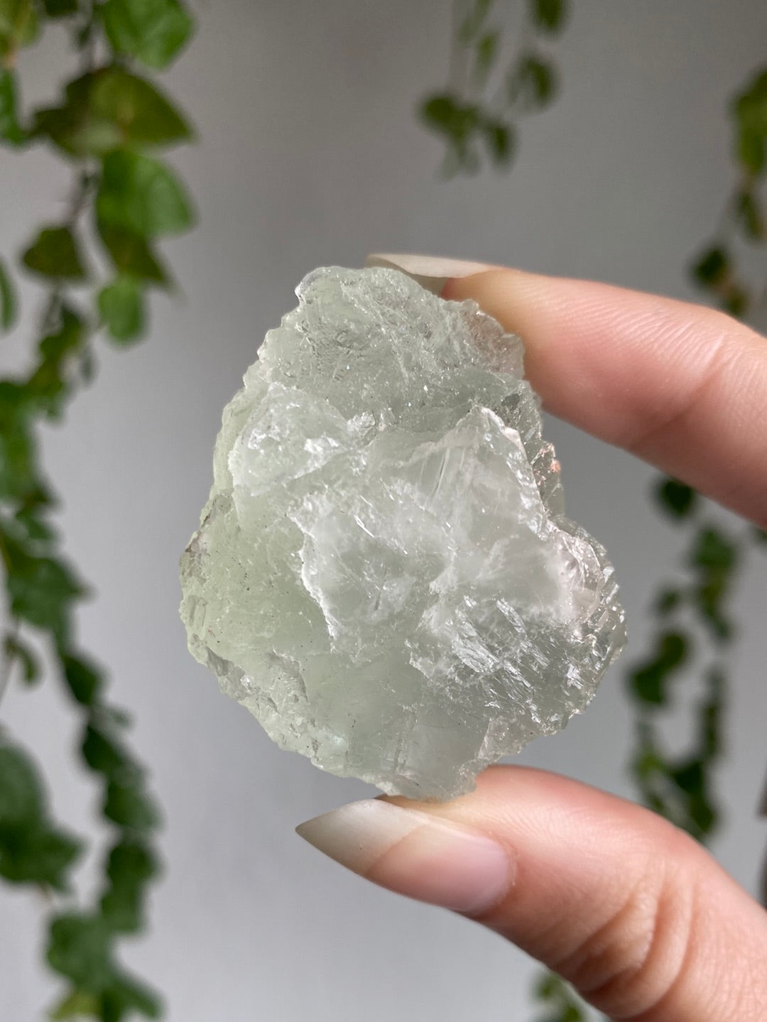 Green Cubic Fluorite B