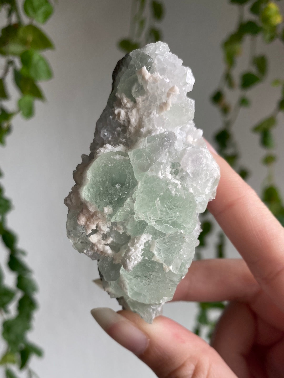 Jelly Fluorite Specimen