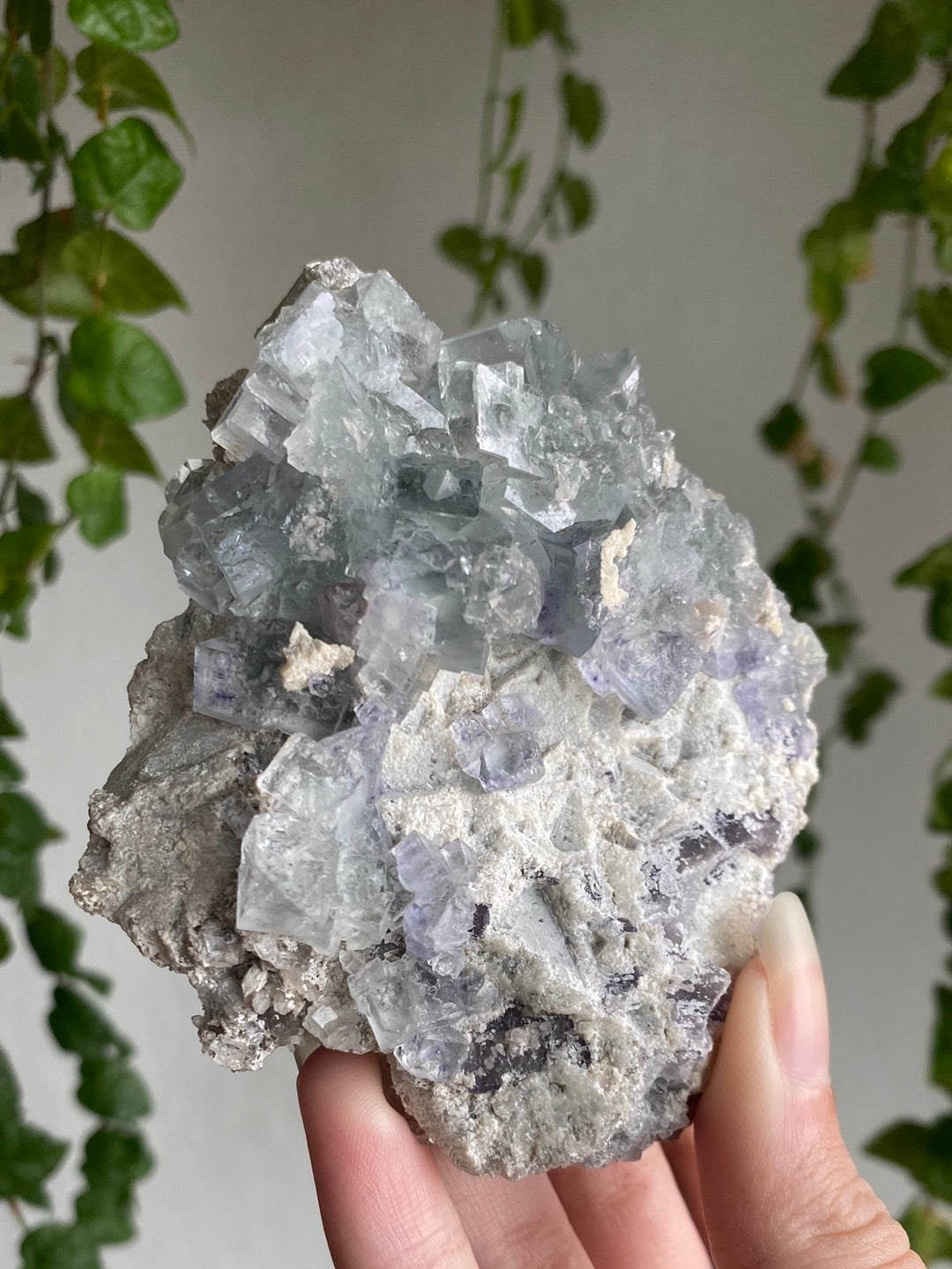Statement Rare Grey Fluorite On Blue Cubic Fluorite Specimen