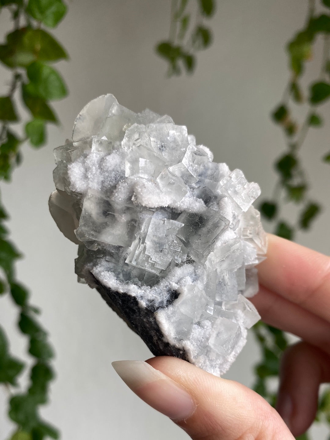 Unique Cubic Sugar Fluorite With Calcite