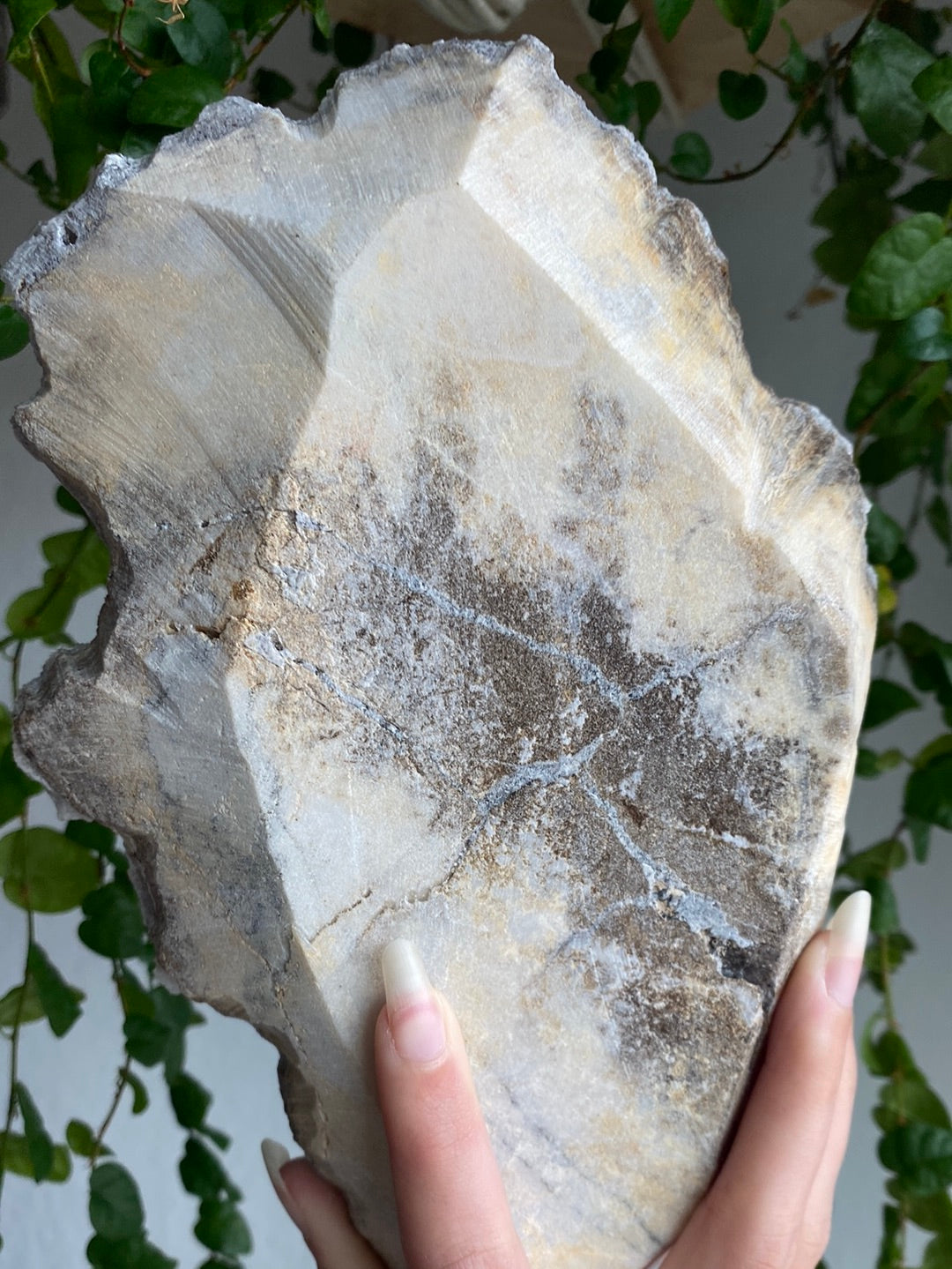 XXL Collectors Cubic Fluorite On Black Chalcedony (4.7lbs)