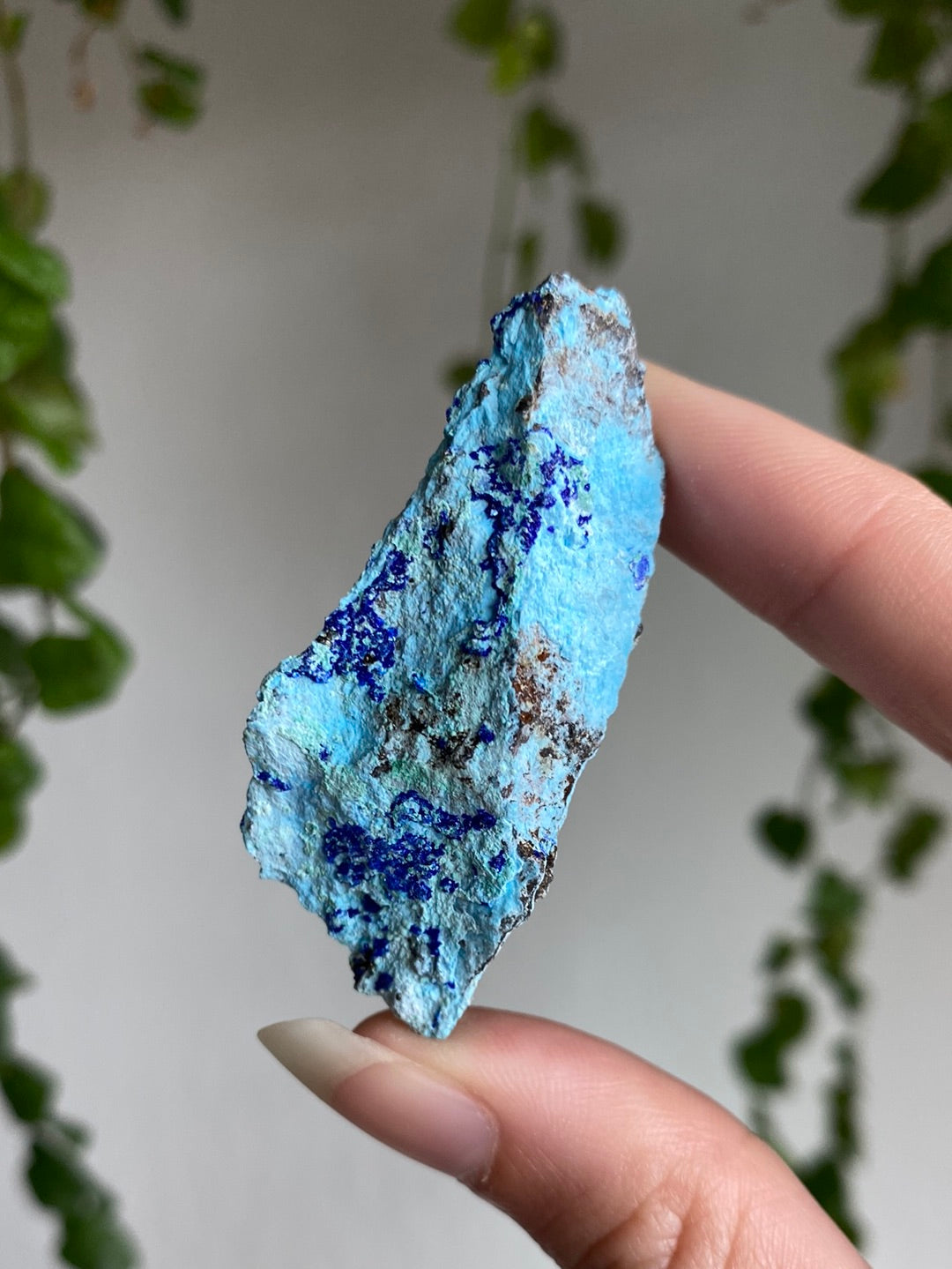 Azurite Specimen | You Pick