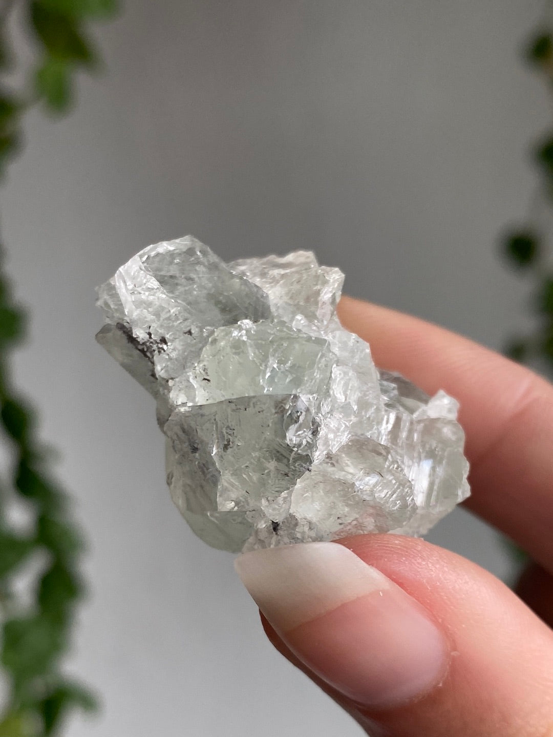 High Quality Fluorite Specimen F
