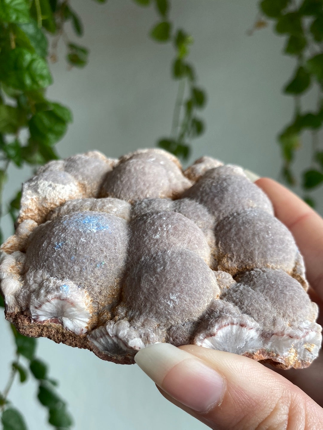 Botryoidal Chalcedony Specimen