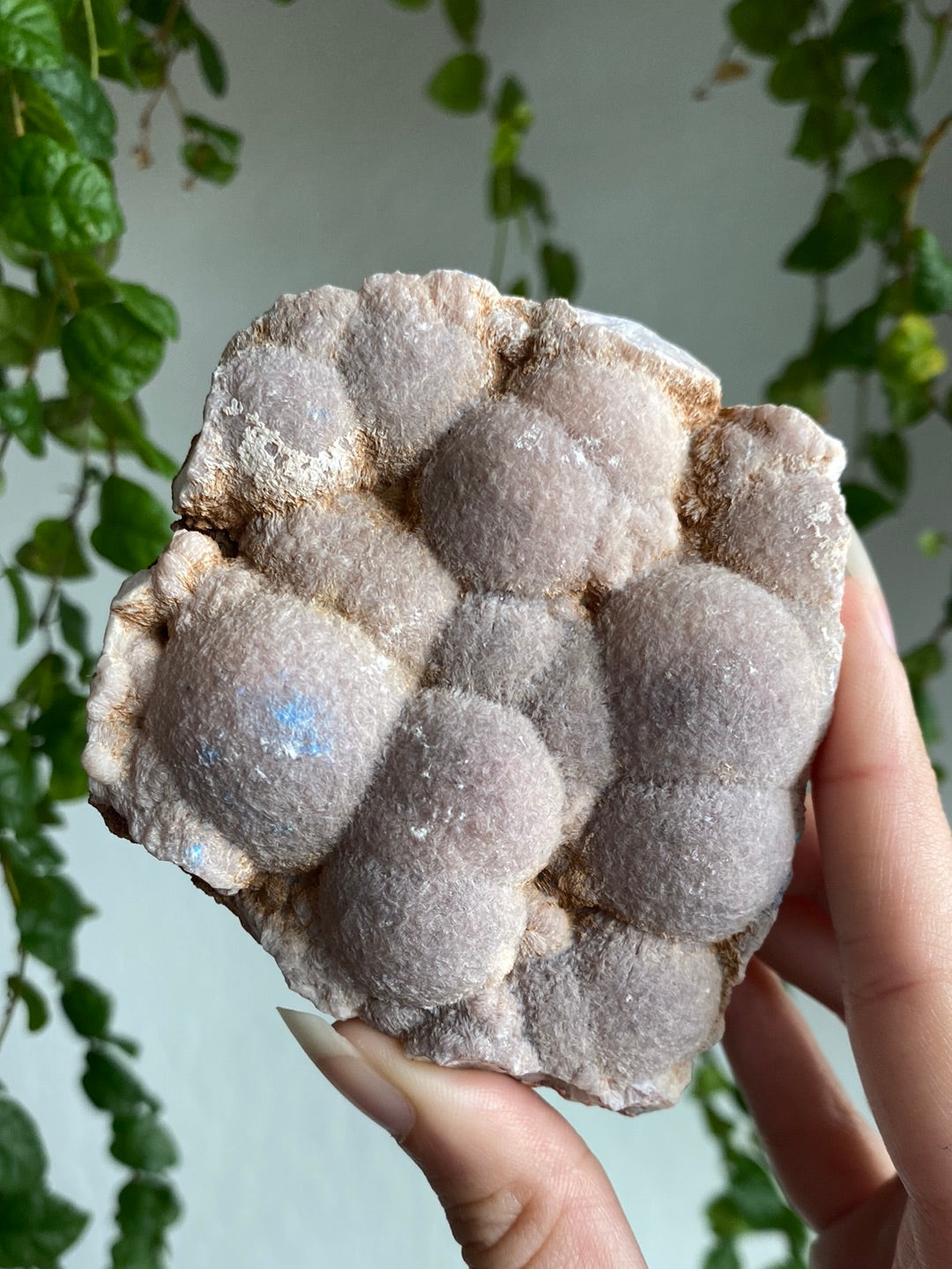 Botryoidal Chalcedony Specimen