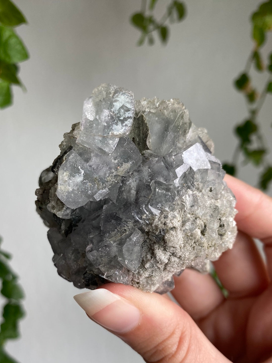 Green Tourmaline On Cubic Fluorite