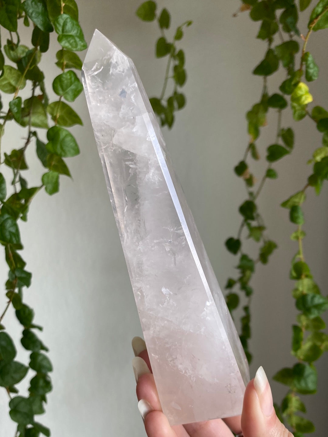 Tall Gemmy Girasol Rose Quartz Obelisk A