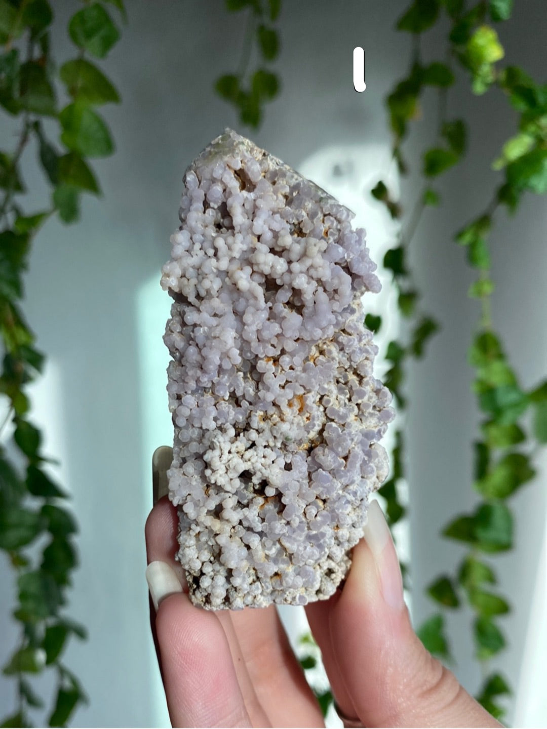 Grape Agate Towers A | You Pick