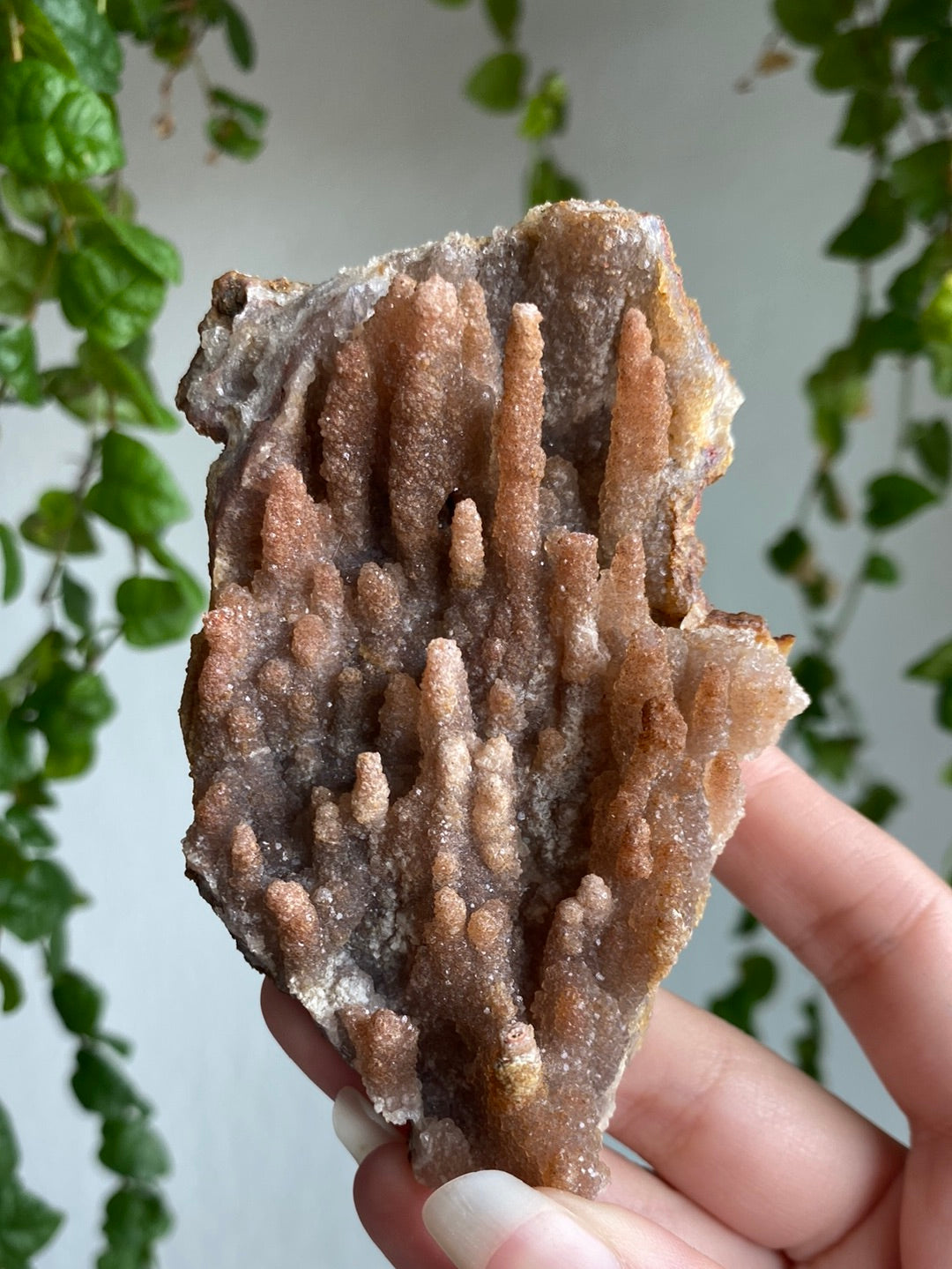 Unique Crystalized Pink Amethyst Specimen