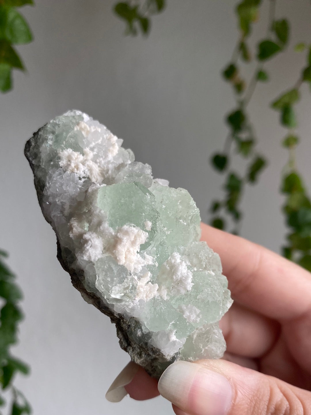 Jelly Fluorite Specimen