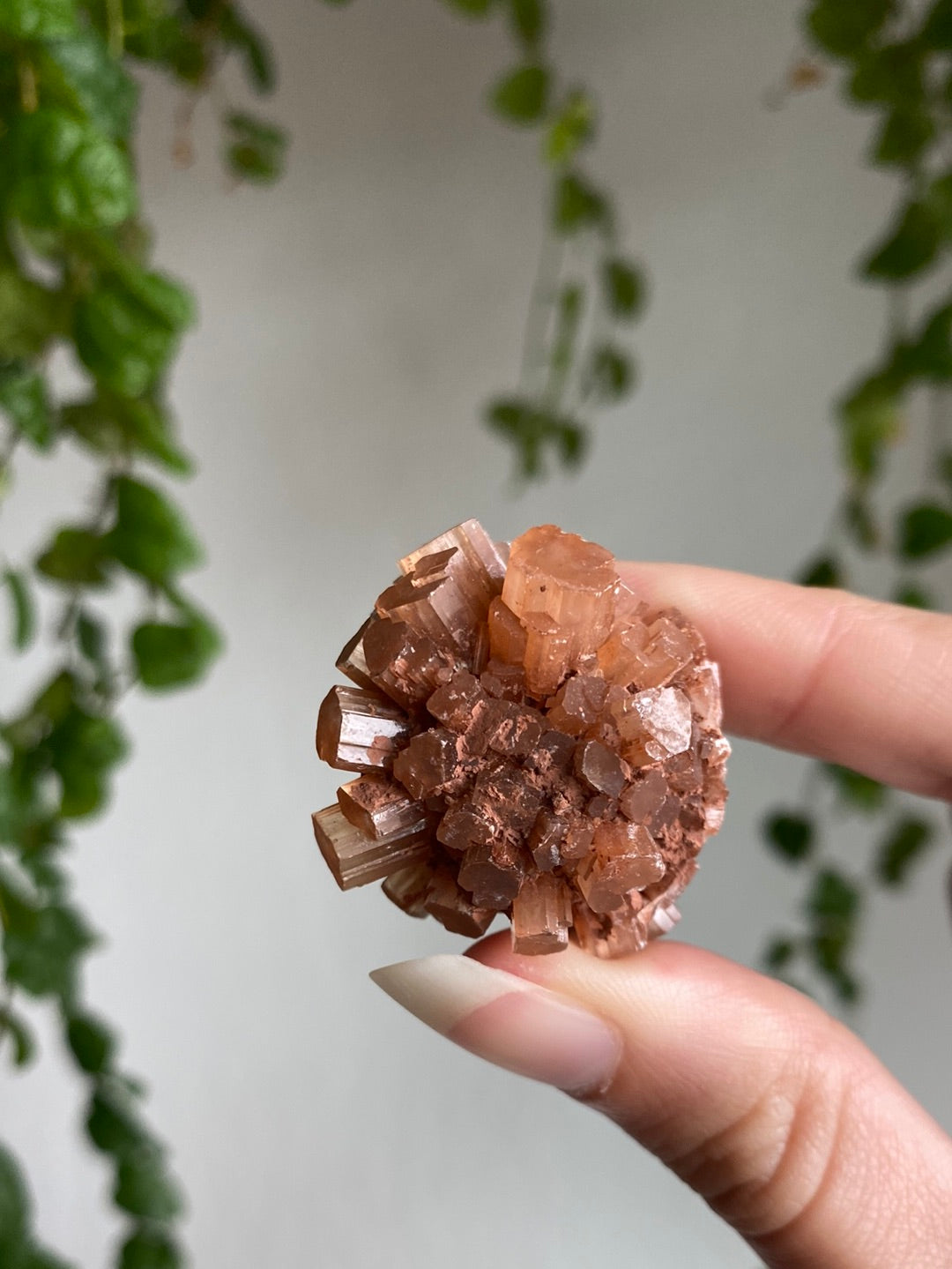 Aragonite Specimen