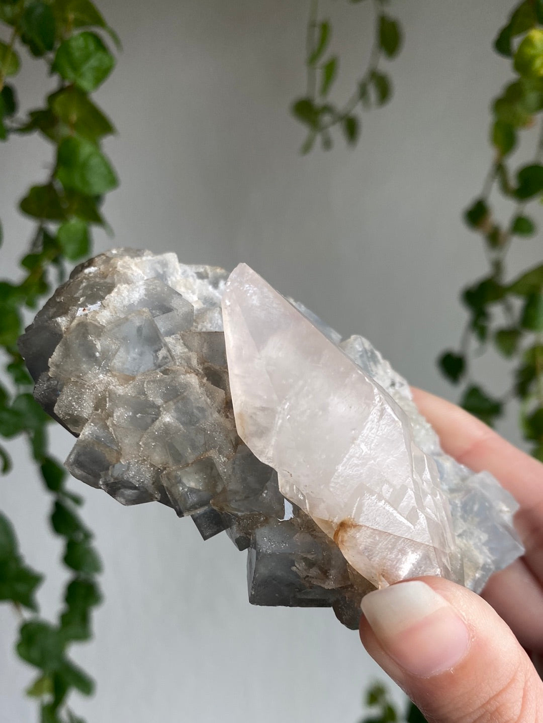 High Grade UV Reactive Calcite On Cubic Fluorite
