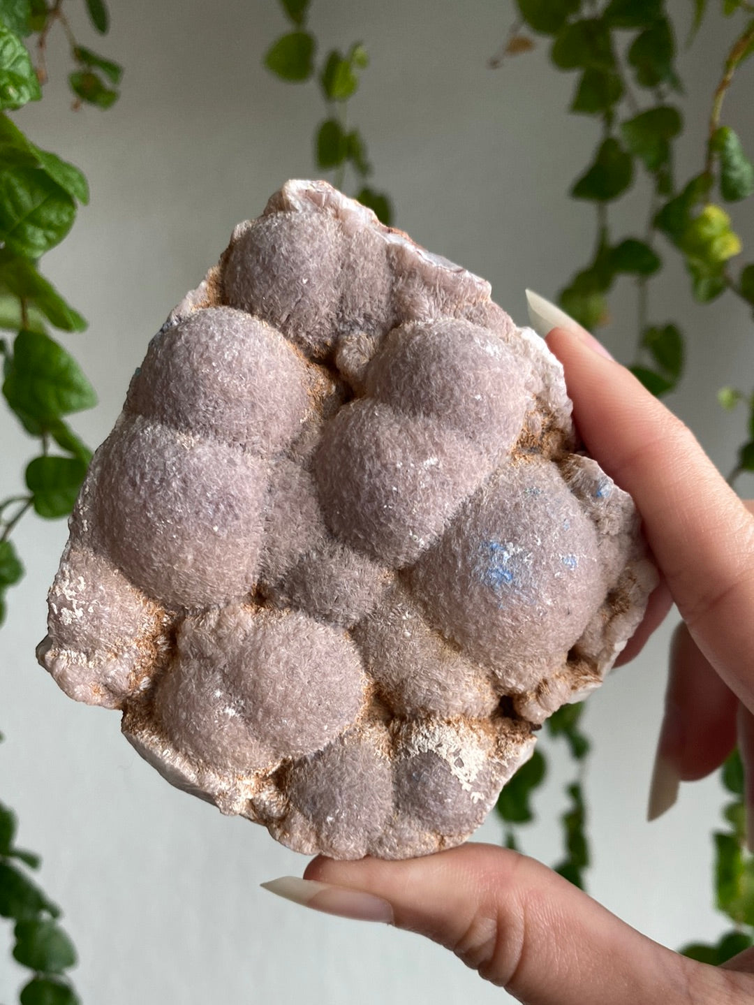 Botryoidal Chalcedony Specimen