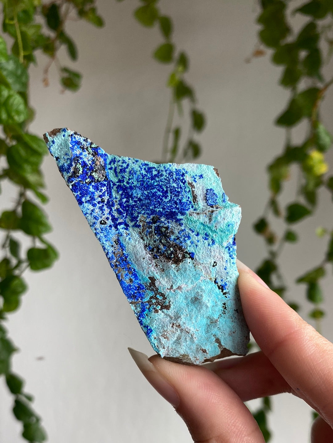 Azurite Specimen | You Pick