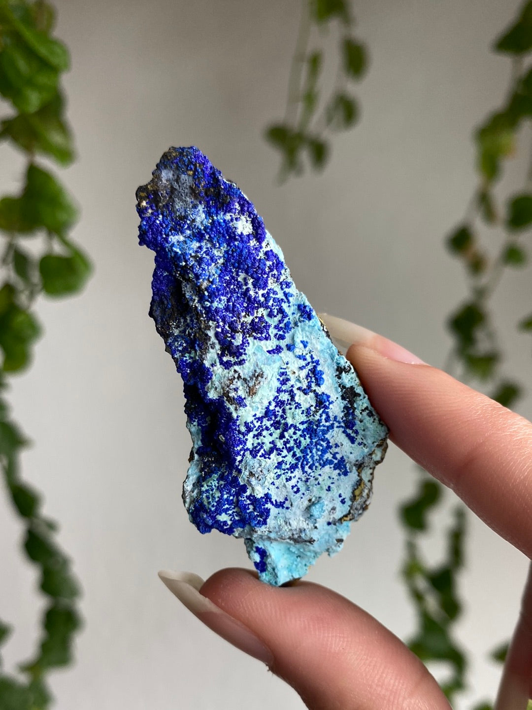 Azurite Specimen | You Pick