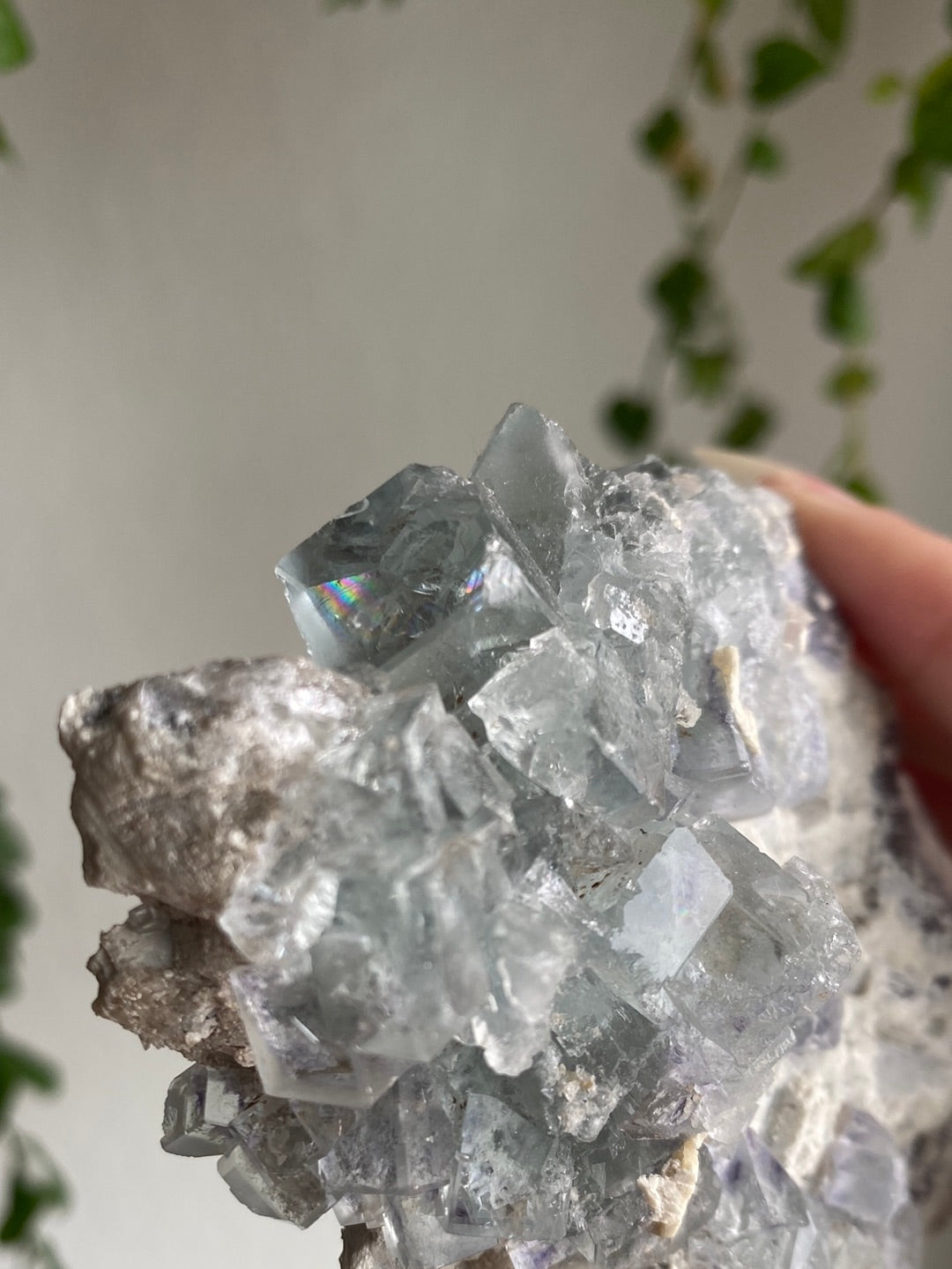 Statement Rare Grey Fluorite On Blue Cubic Fluorite Specimen