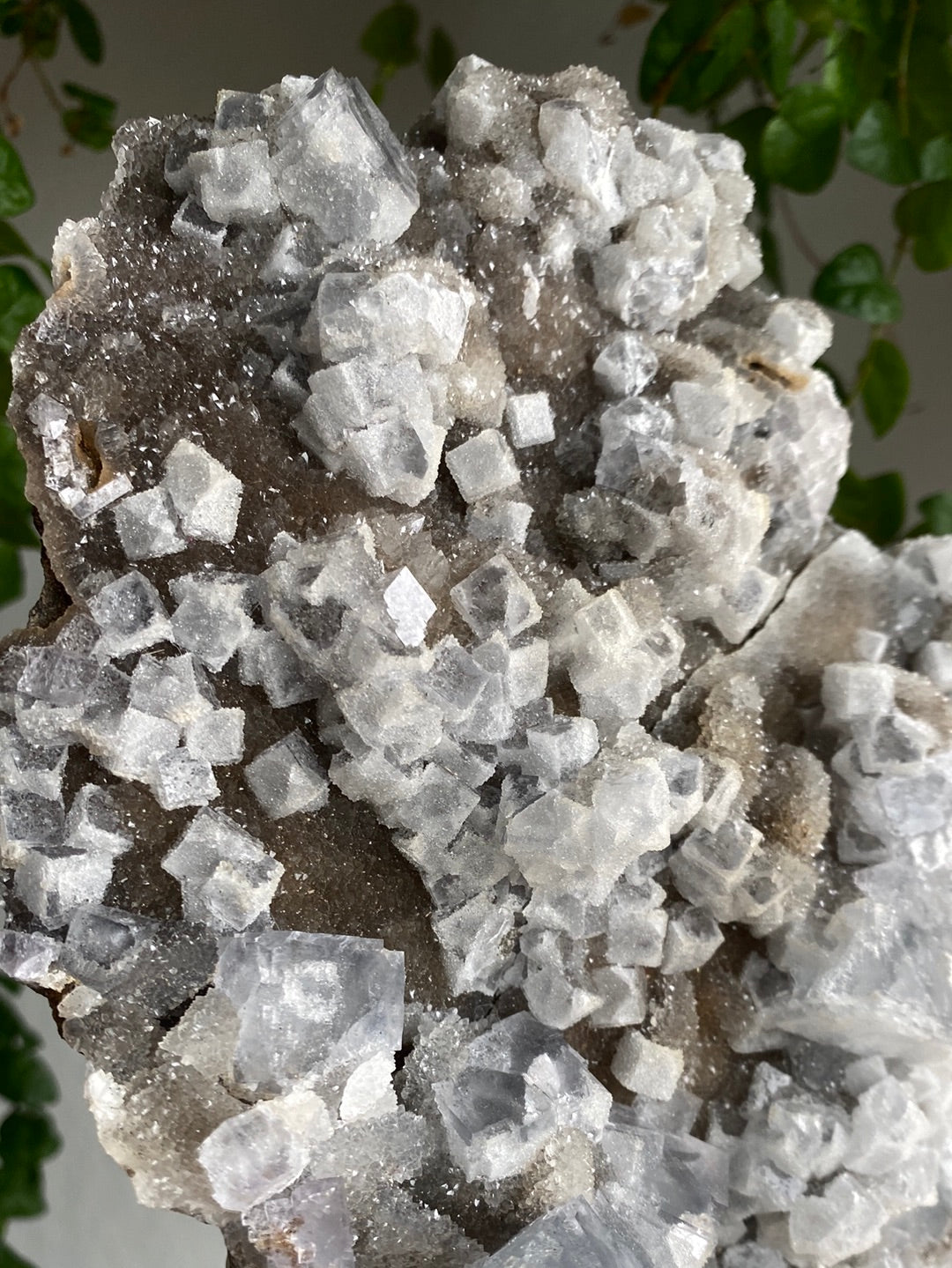 XXL Collectors Cubic Fluorite On Black Chalcedony (4.7lbs)